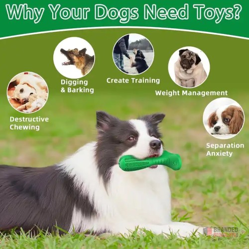 Durable Dog Chew Toys for Dental Care - thumbnail image - Premier B2B Stocklot Marketplace