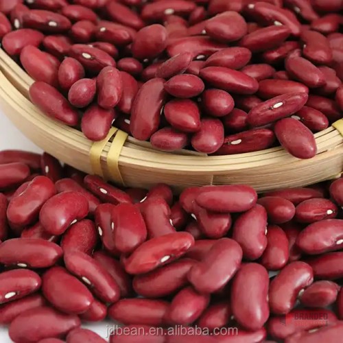 Premium Dark Red Kidney Beans - Bulk Supply - thumbnail image - Premier B2B Stocklot Marketplace