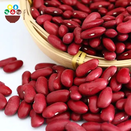 Premium Dark Red Kidney Beans - Bulk Supply - thumbnail image - Premier B2B Stocklot Marketplace