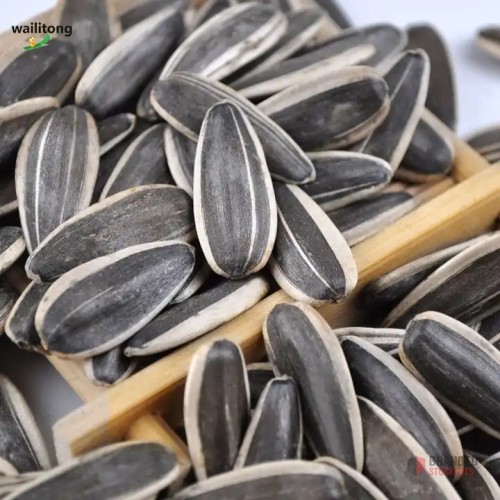 Premium Organic Raw Sunflower Seeds - thumbnail image - Premier B2B Stocklot Marketplace