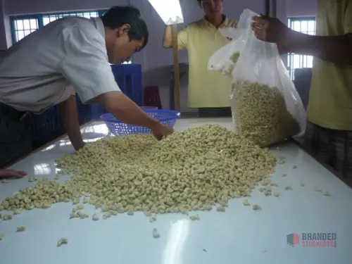 Premium Cashew Nuts and Soybeans – Ready for Supply and Export - Premier B2B Stocklot Marketplace